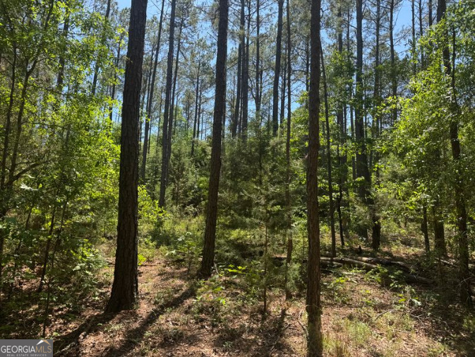 4008 Horseshoe Road Dawson, GA 39842 - Photo 13 of 15