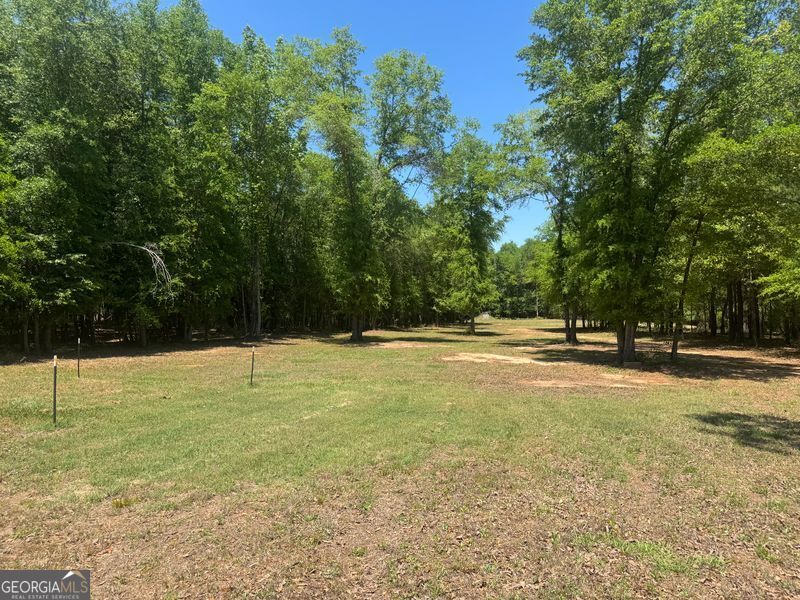 4008 Horseshoe Road Dawson, GA 39842 - Photo 15 of 15