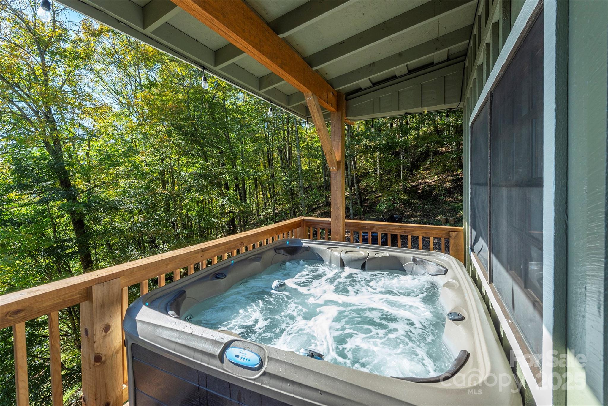 322 Goldenleaf Road Mars Hill, NC 28754 - Photo 2 of 47