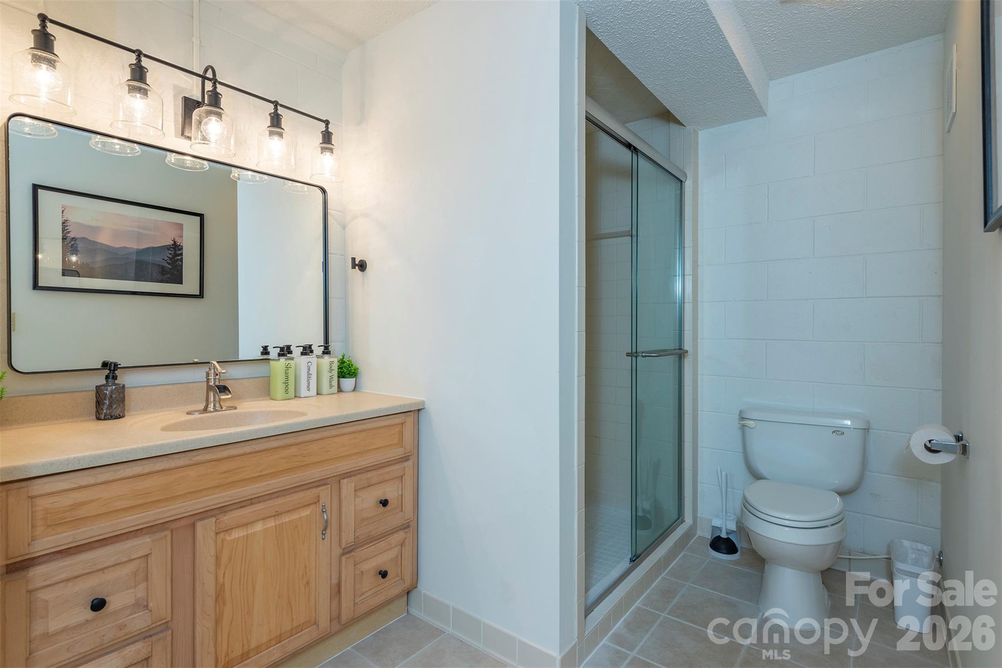 322 Goldenleaf Road Mars Hill, NC 28754 - Photo 35 of 47 a bathroom with a toilet sink and mirror