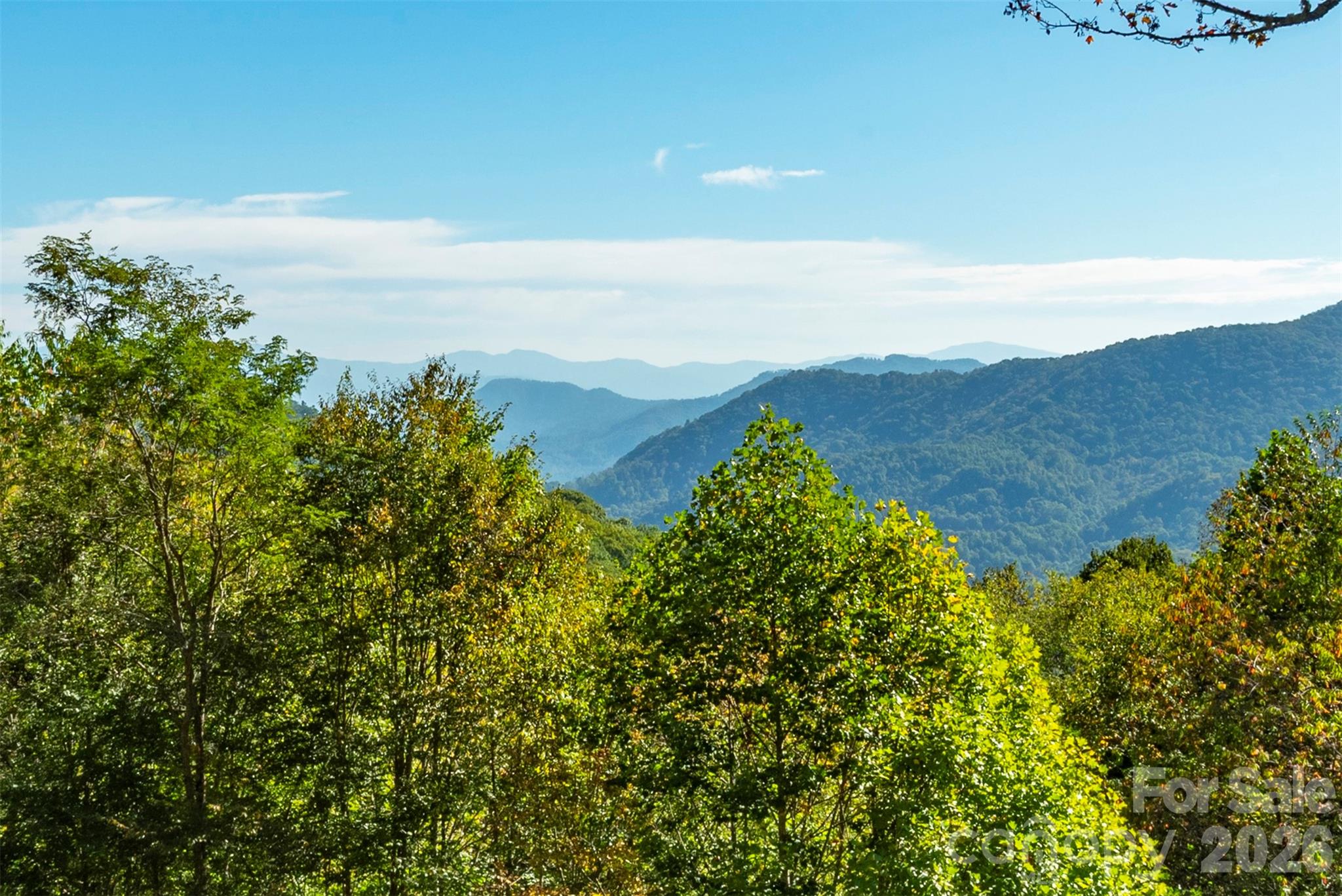 322 Goldenleaf Road Mars Hill, NC 28754 - Photo 42 of 47 a view of a lake with mountains in the background