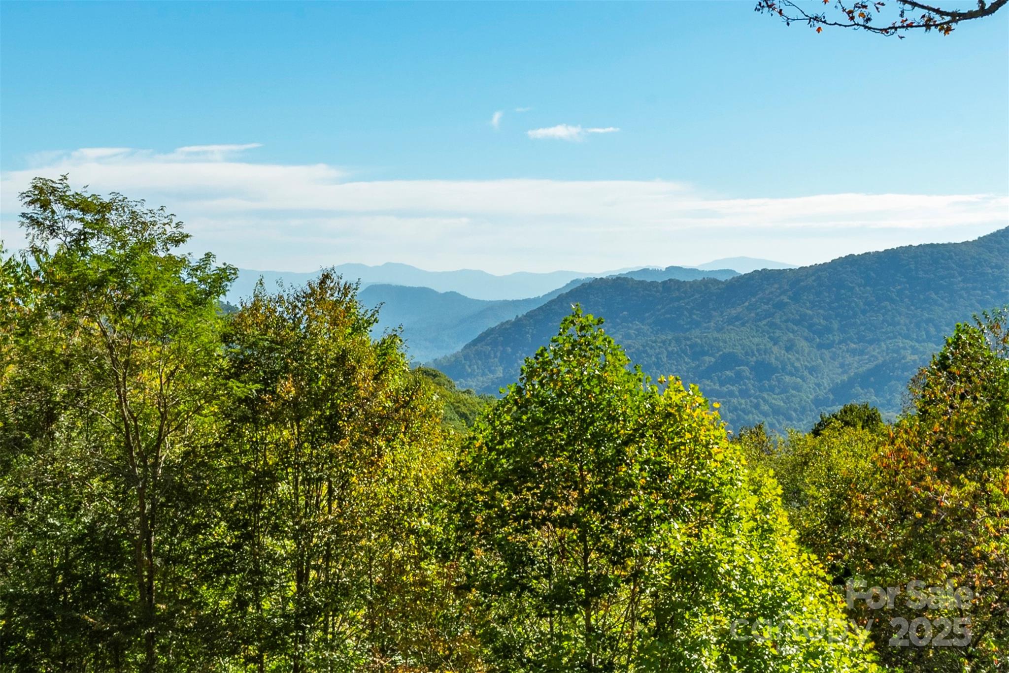 322 Goldenleaf Road Mars Hill, NC 28754 - Photo 42 of 47