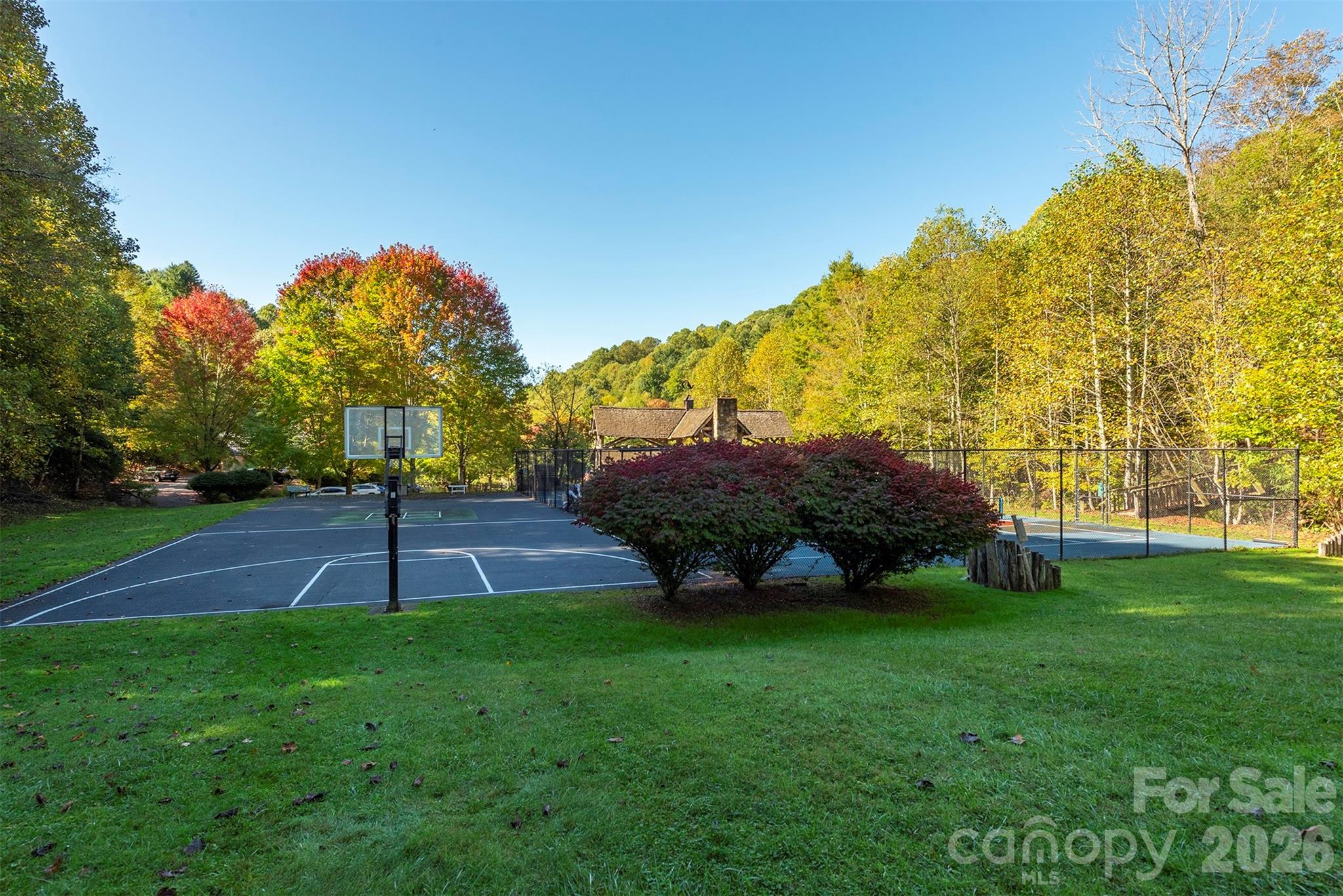 322 Goldenleaf Road Mars Hill, NC 28754 - Photo 46 of 47 a view of yard with swimming pool and green space