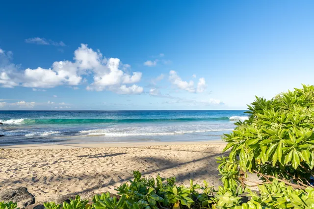 a view of a yard with wooden fence