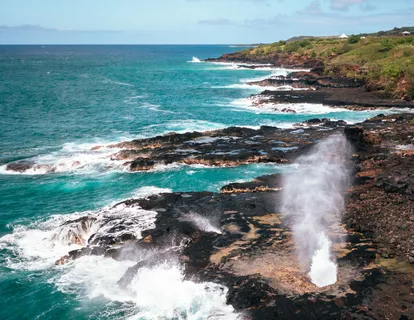 a view of a lake with lawn chairs and large trees