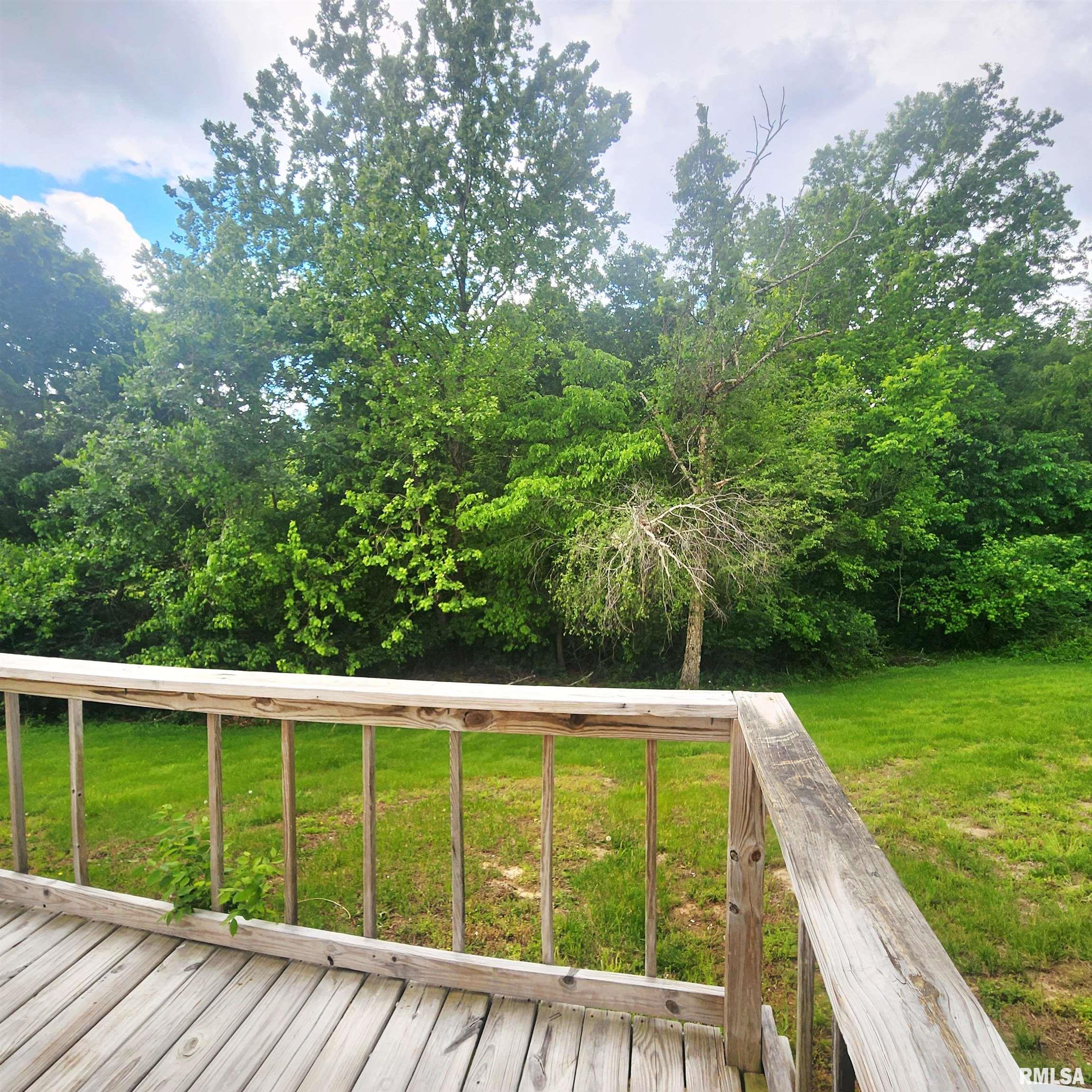 11744 Hafer Road Carterville, IL 62918 - Photo 7 of 20