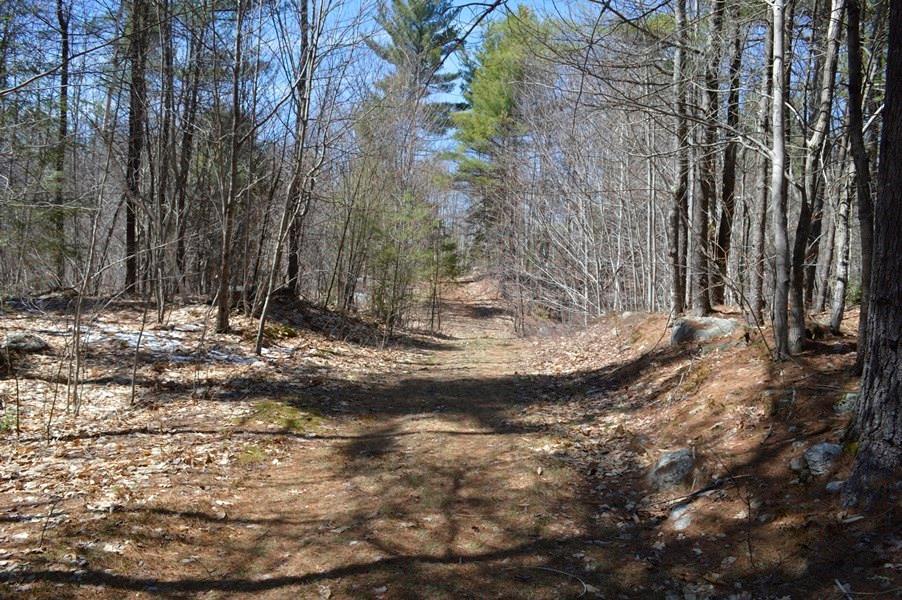 Lot 59 North Shore Road Gray, ME 04039 - Photo 18 of 22 Photo