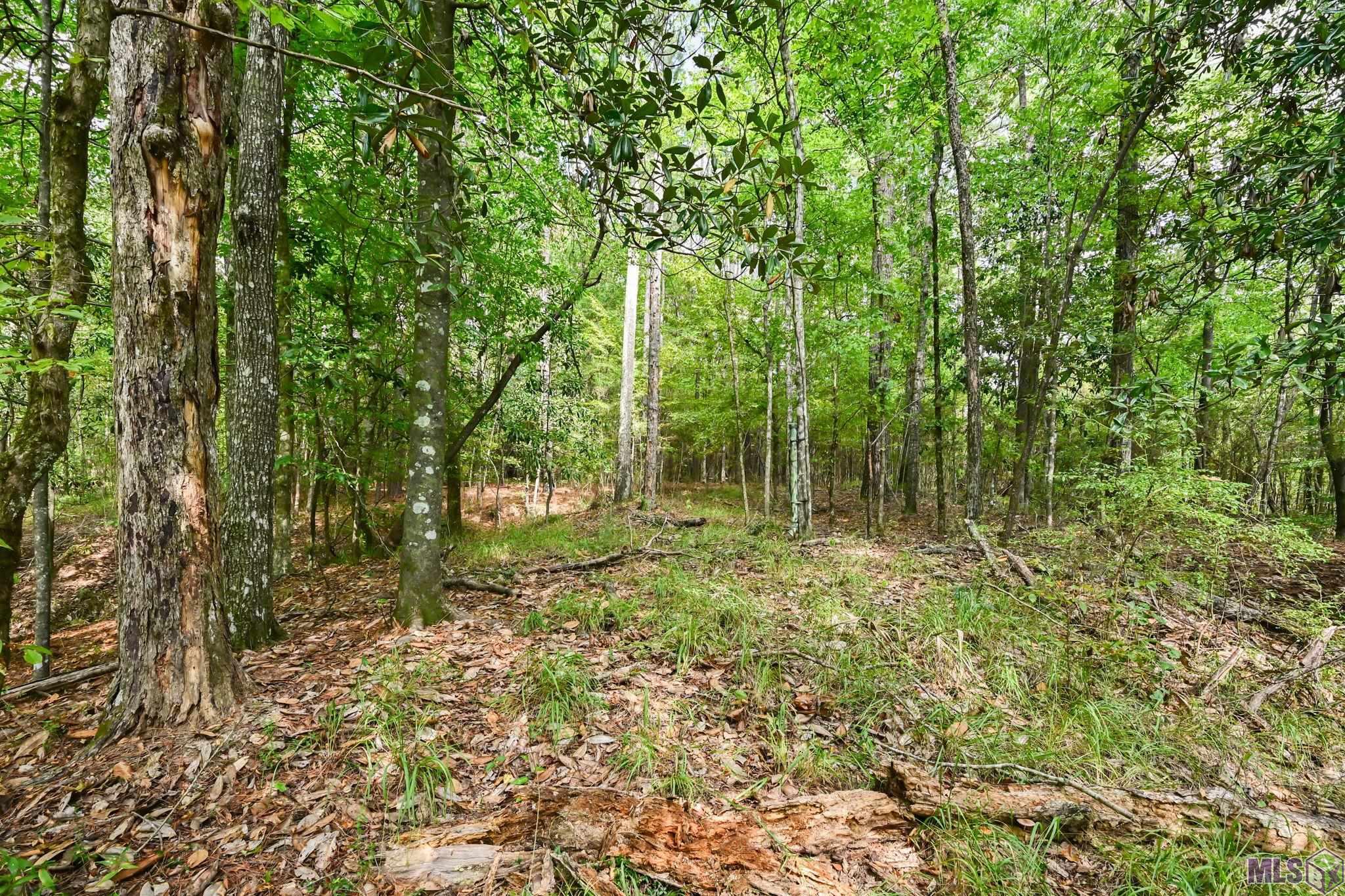 2256 Dawson Road Jackson, LA 70748 - Photo 34 of 46 Gallery Image 34