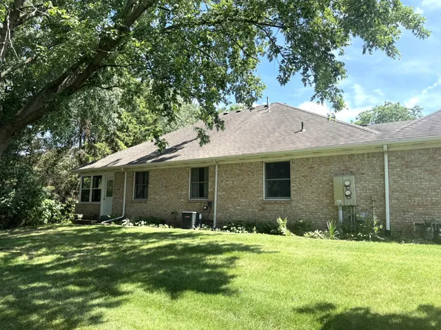 a close up of a plant with a plant