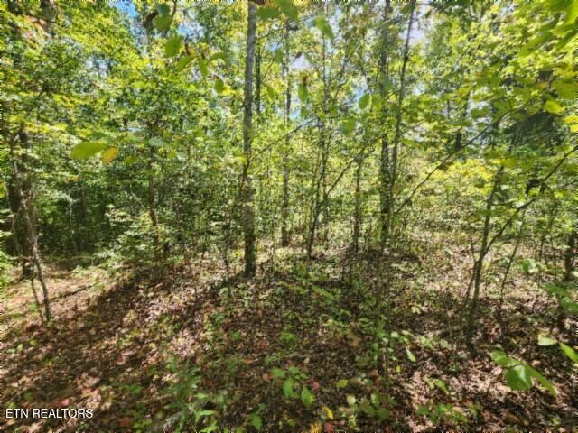 16.22-ac Glenobey Road Jamestown, TN 38556 - Photo 11 of 32 20250909_122432