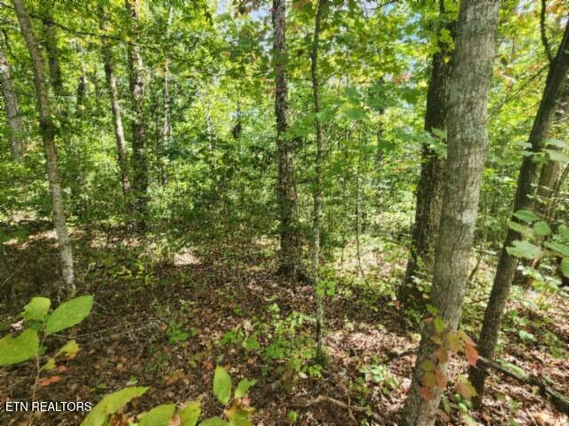 16.22-ac Glenobey Road Jamestown, TN 38556 - Photo 12 of 32 20250909_122500