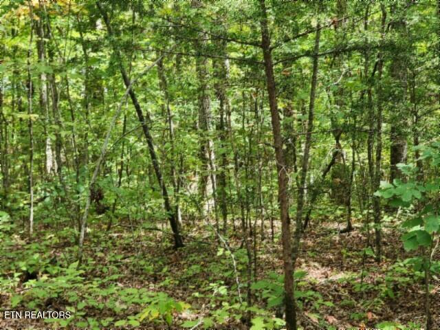 16.22-ac Glenobey Road Jamestown, TN 38556 - Photo 14 of 32 20250909_122602