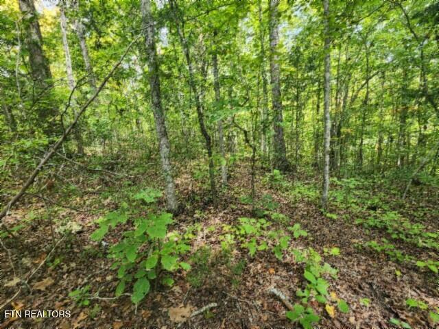 16.22-ac Glenobey Road Jamestown, TN 38556 - Photo 16 of 32 20250909_122640