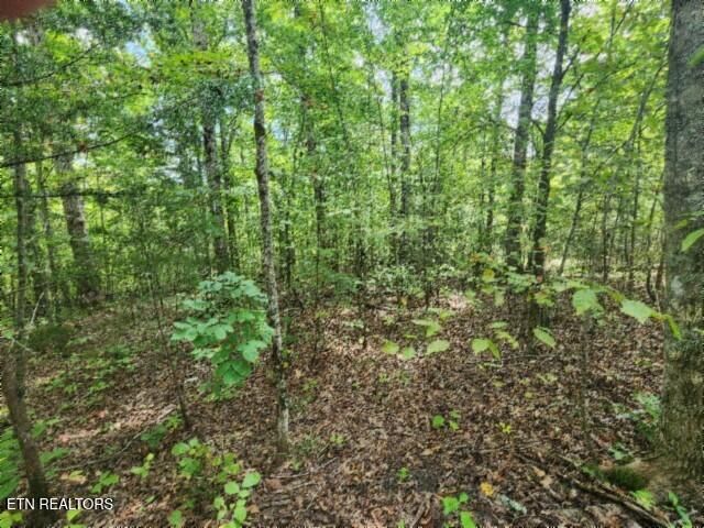 16.22-ac Glenobey Road Jamestown, TN 38556 - Photo 17 of 32 20250909_122649