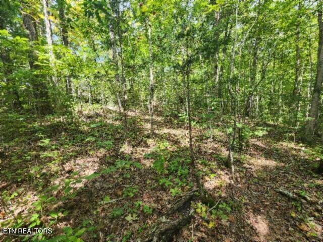 16.22-ac Glenobey Road Jamestown, TN 38556 - Photo 18 of 32 20250909_122707