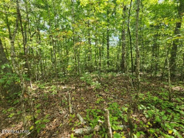 16.22-ac Glenobey Road Jamestown, TN 38556 - Photo 19 of 32 20250909_122714