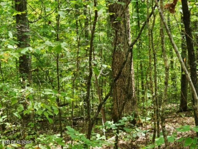 16.22-ac Glenobey Road Jamestown, TN 38556 - Photo 21 of 32 20250909_122723