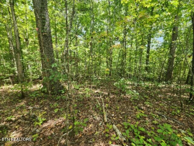 16.22-ac Glenobey Road Jamestown, TN 38556 - Photo 22 of 32 20250909_122727