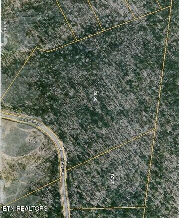 16.22-ac Glenobey Road Jamestown, TN 38556 - Photo 30 of 32 AERIAL VIEW MAP
