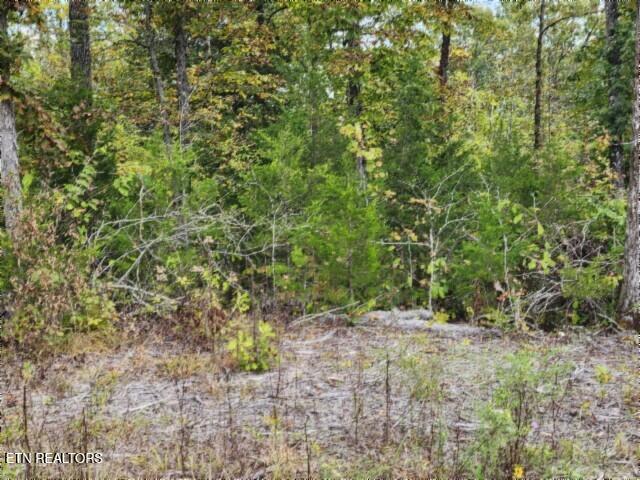 16.22-ac Glenobey Road Jamestown, TN 38556 - Photo 4 of 32 20250909_122116