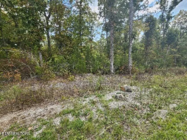 $149,900 | 16.22-ac Glenobey Road, Jamestown, TN 38556