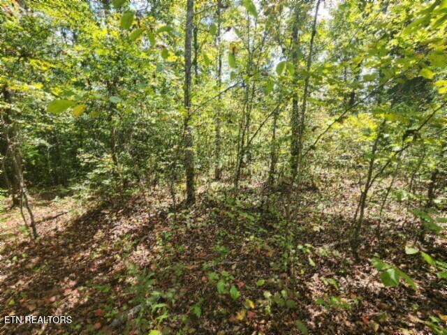 16.22-ac Glenobey Road Jamestown, TN 38556 - Photo 10 of 32 20250909_122430