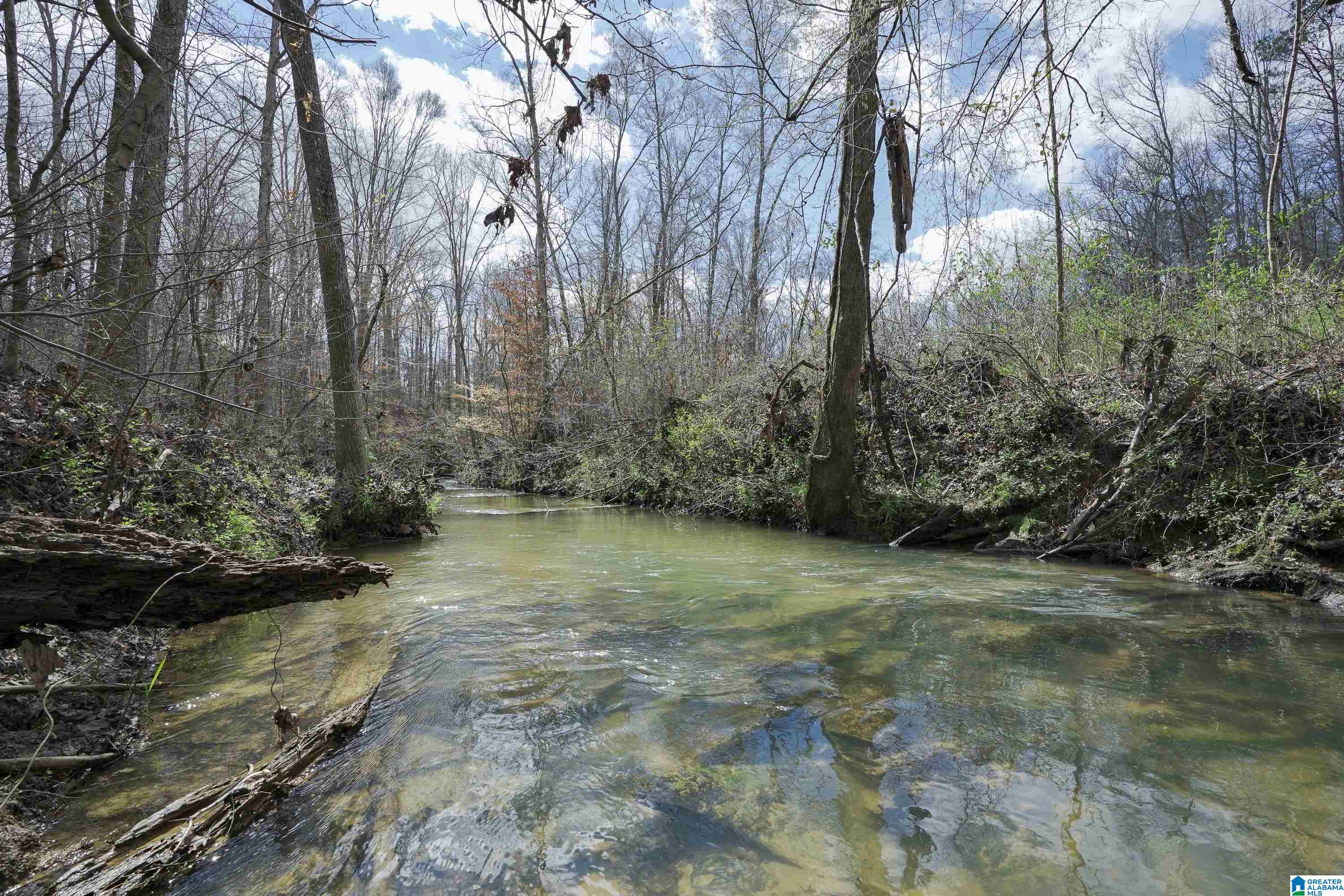 707 Turkey Ridge Road Ragland, AL 35131 - Photo 57 of 68