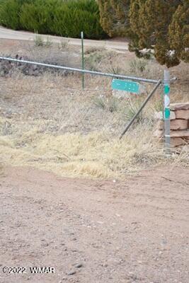 322 1000th Street East Taylor, AZ 85939 - Photo 46 of 47