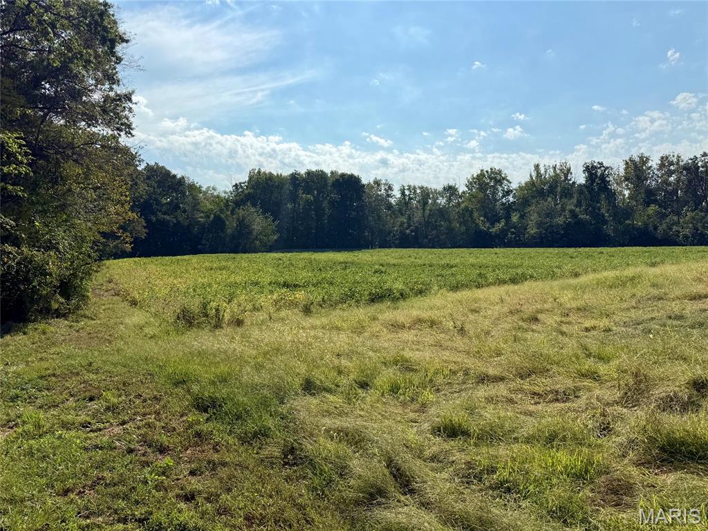 5324 McCallister Road Gerald, MO 63037 - Photo 61 of 67 Gallery Image 61