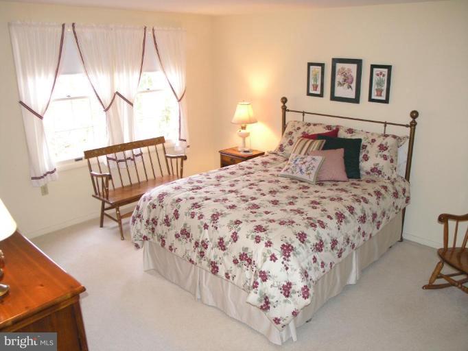 11406 Running Cedar Road Reston, VA 20191 - Photo 22 of 30 Master Bedroom