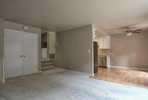a view of a big room with closet and windows