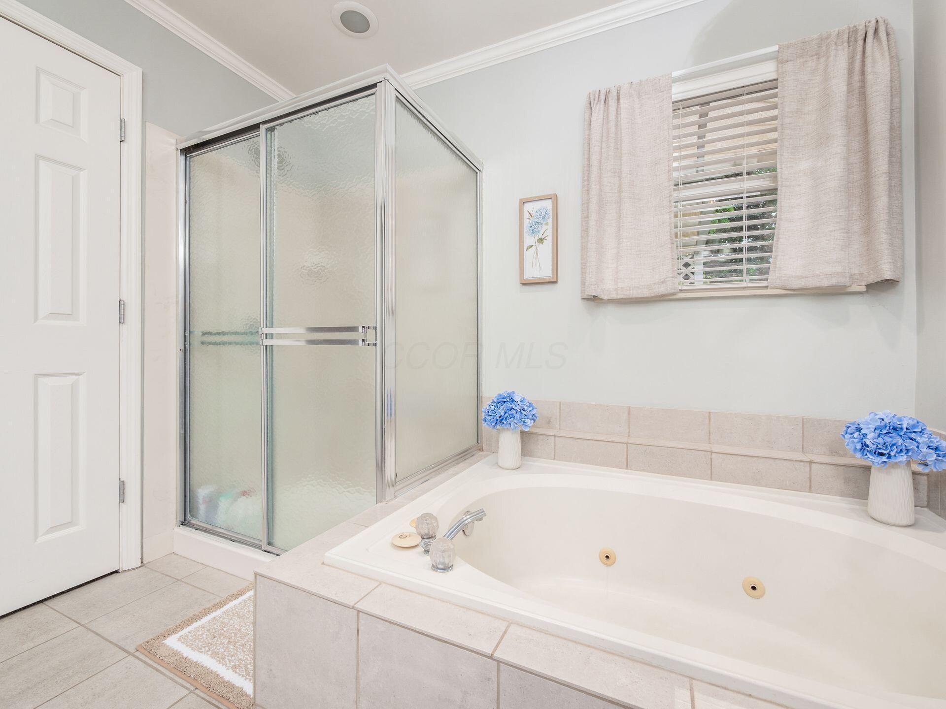 2568 Windflower Road Hilliard, OH 43026 - Photo 24 of 36 Shower/Tub