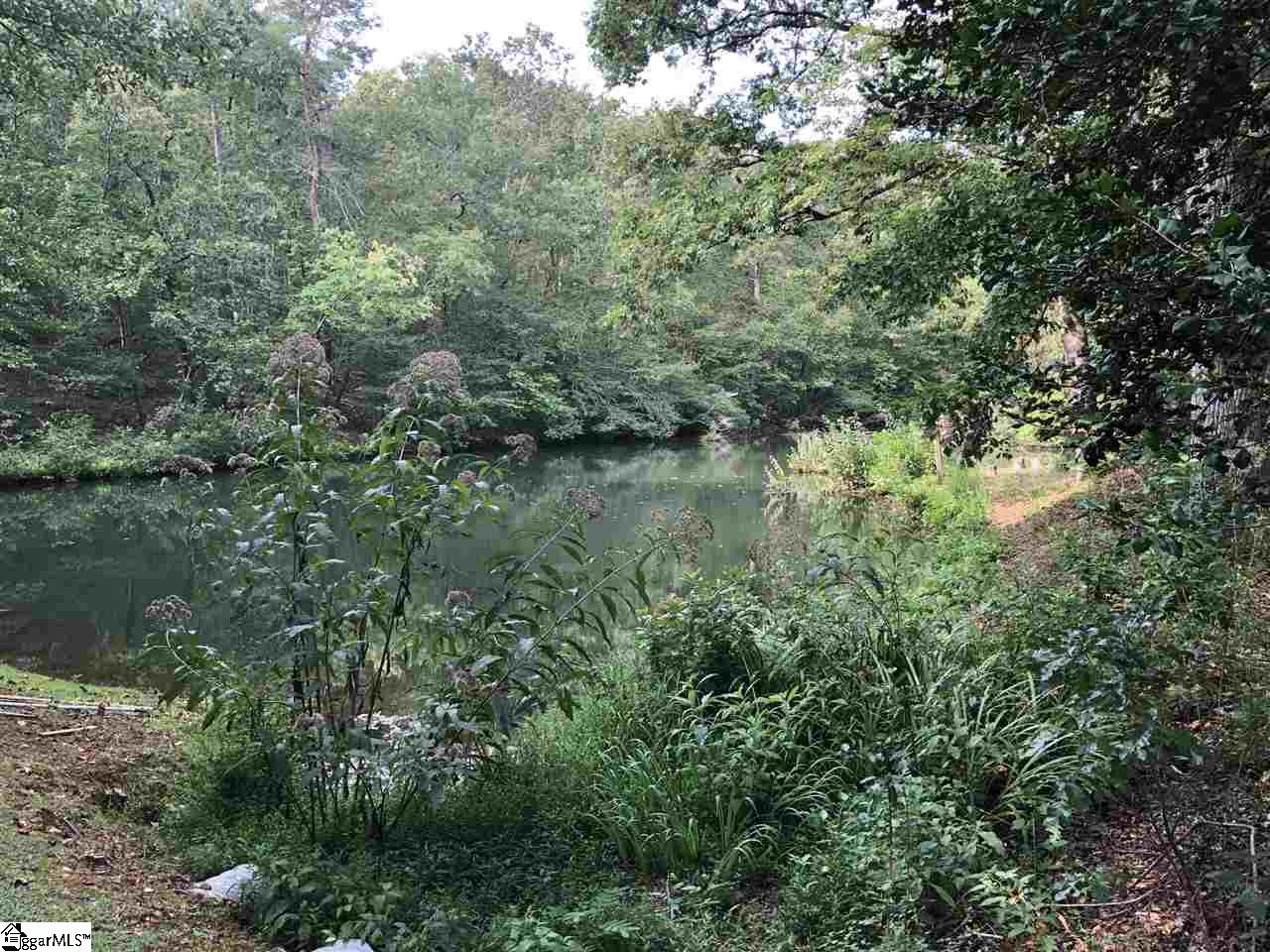 4203 State Park Road Greenville, SC 29609 - Photo 22 of 24