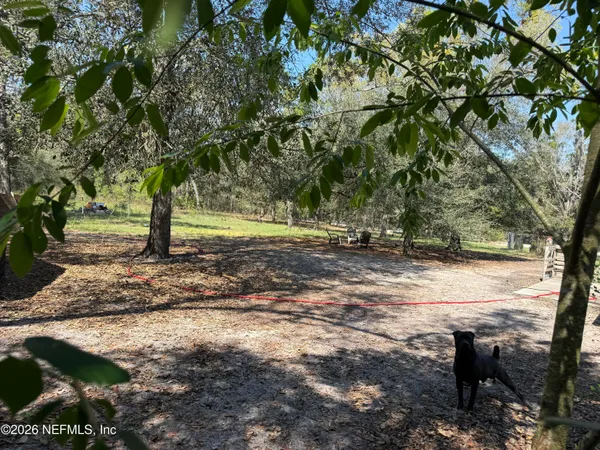 a view of a yard with plants and trees