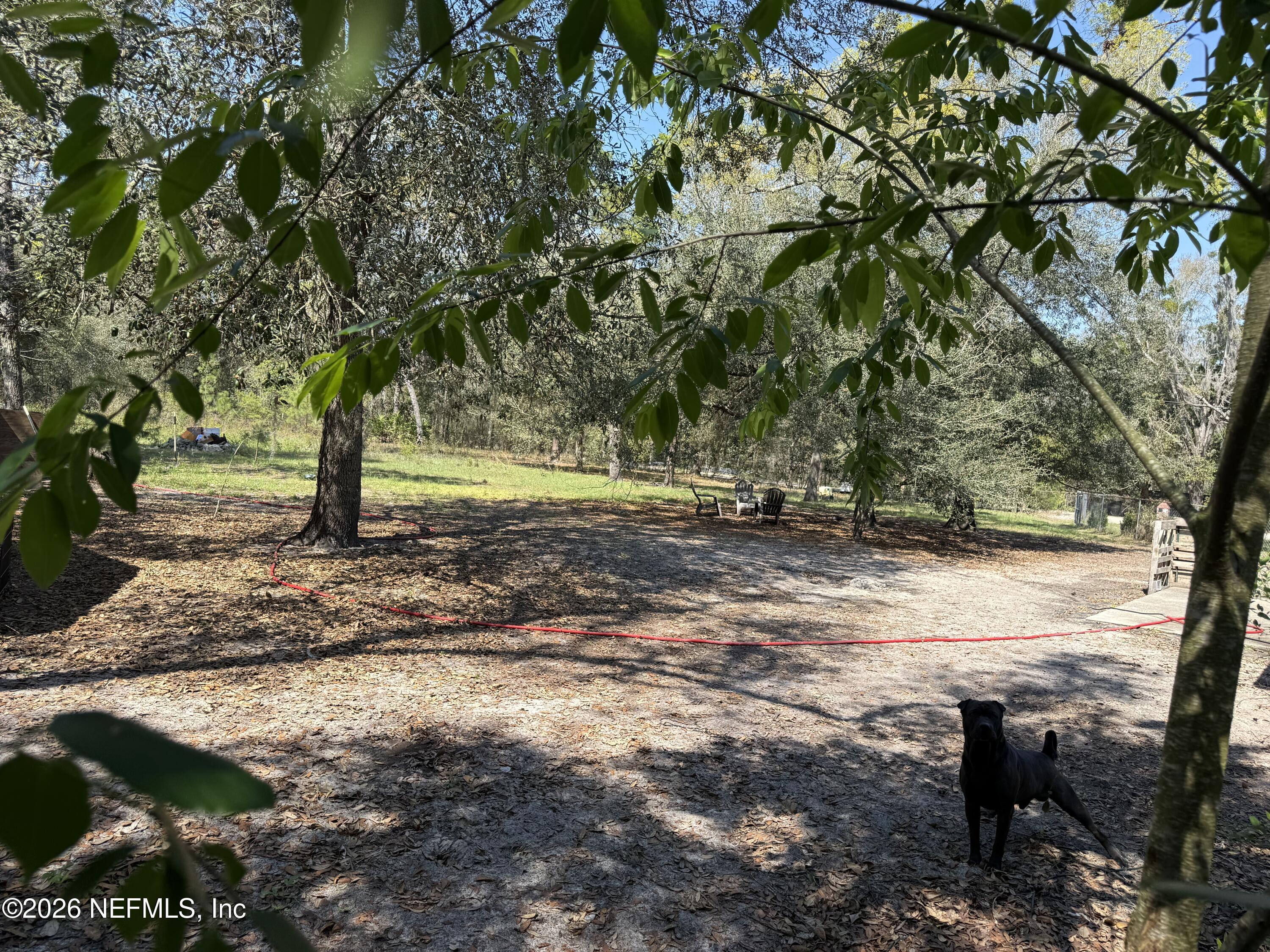 45 Mint Circle Middleburg, FL 32068 - Photo 11 of 24 a view of a yard with plants and trees