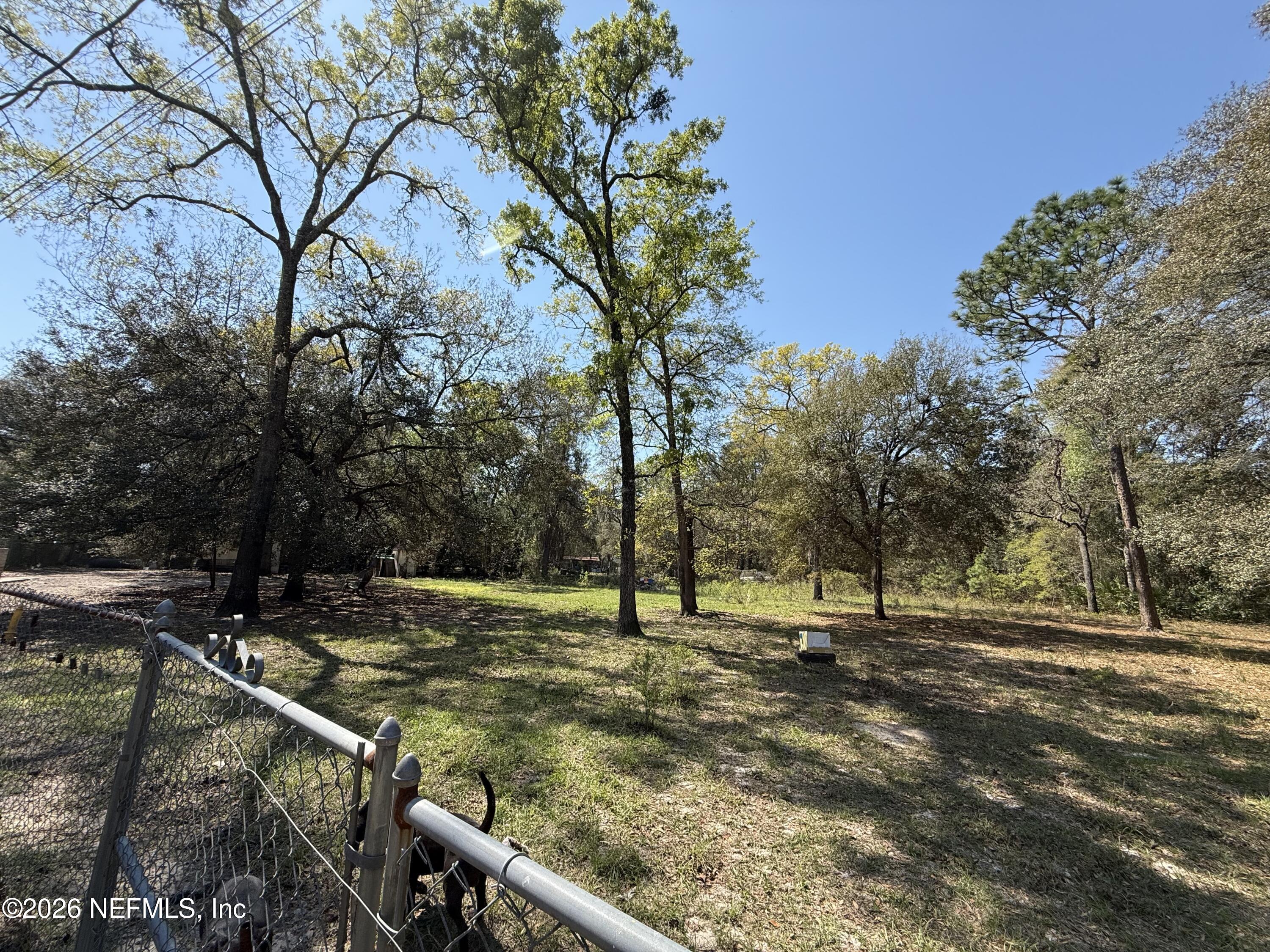 45 Mint Circle Middleburg, FL 32068 - Photo 12 of 24 a view of street with trees