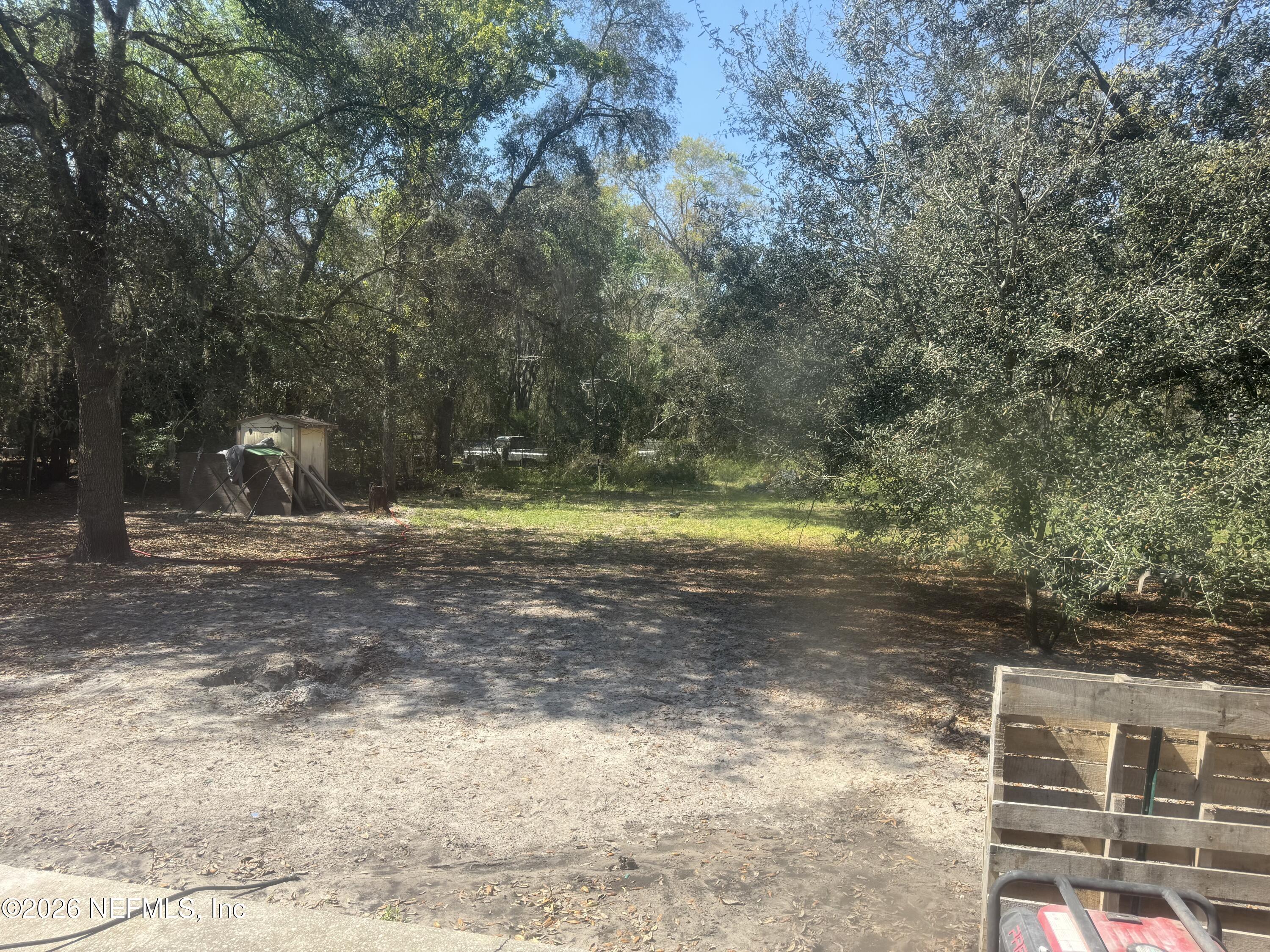 45 Mint Circle Middleburg, FL 32068 - Photo 22 of 24 a view of a yard with a tree
