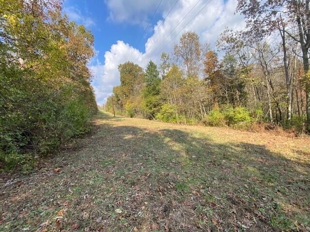 755 Galbraith Road Brooksville, KY 41004 - Photo 3 of 4