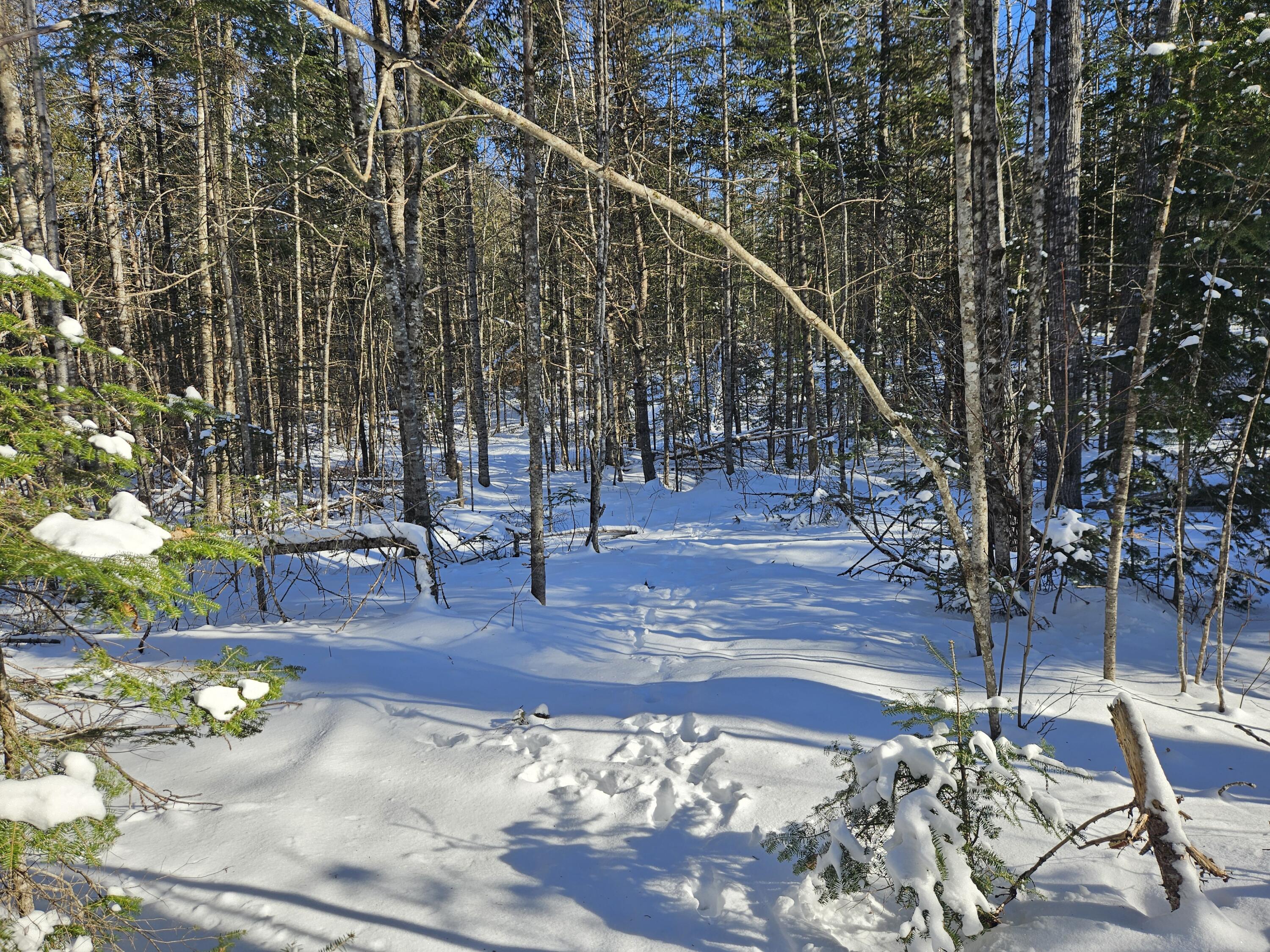 195 Rutland Road Troy, ME 04987 - Photo 76 of 80 20240121_122847
