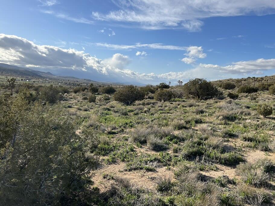 0 Fort Tejon Road Pearblossom, CA 93553 - Photo 14 of 24 fort tejon lot 15 bs white clouds