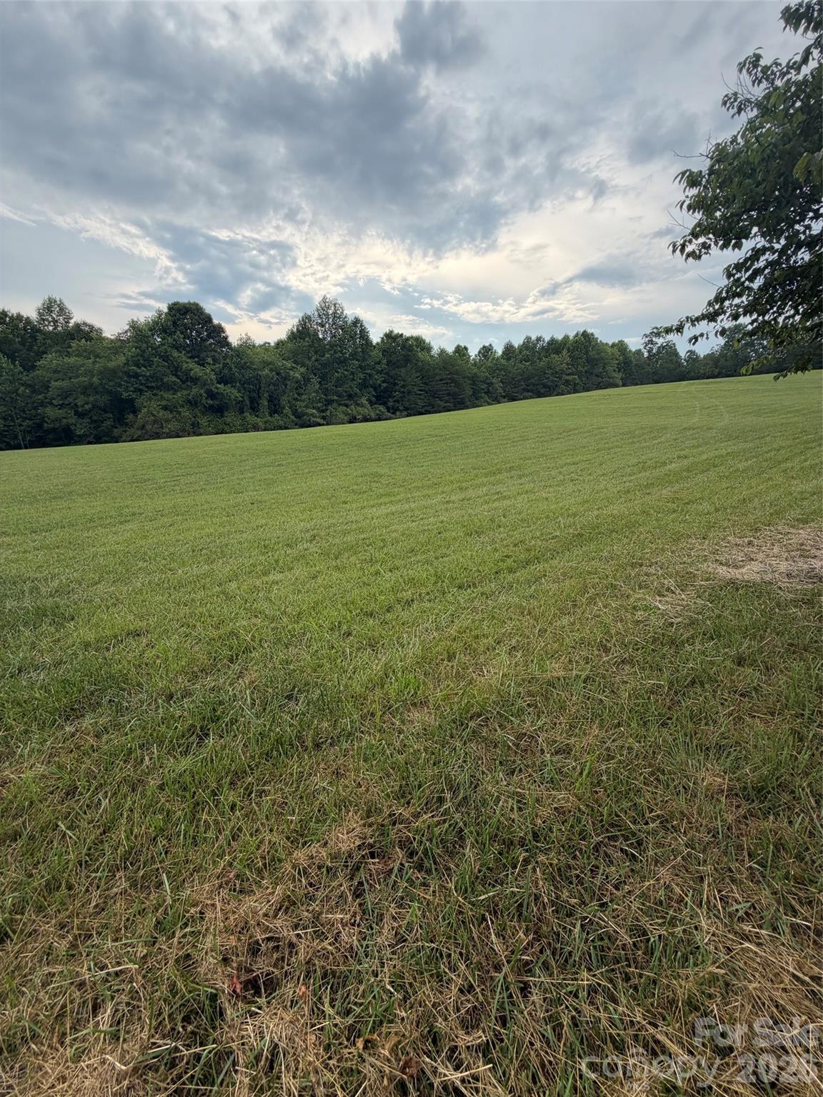 Lot 5 Parker Padgett Road Old Fort, NC 28762 - Photo 10 of 12