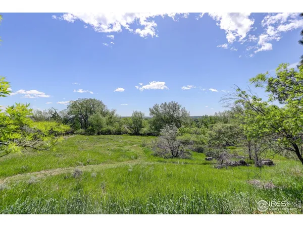 a view of a lush green field