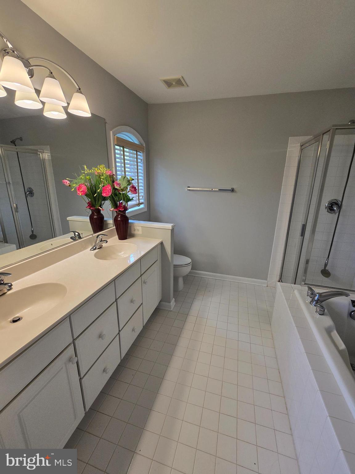5019 Village Fountain Place Centreville, VA 20120 - Photo 17 of 17 a bathroom with a sink a toilet and mirror