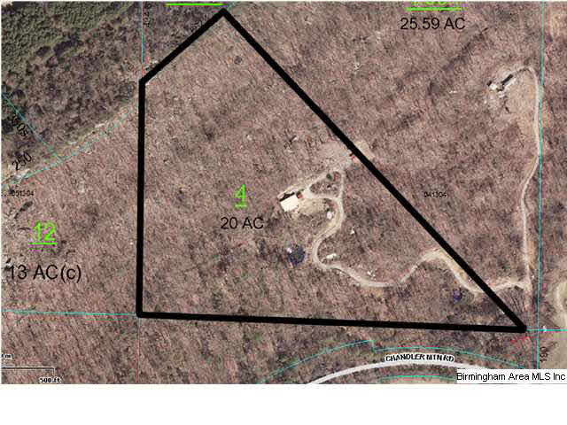 1826 Chandler Mountain Road Steele, AL 35987 - Photo 24 of 24