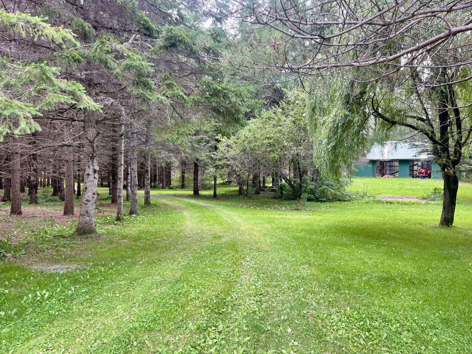 314 Easton Road Presque Isle, ME 04769 - Photo 8 of 40 Wilson.8