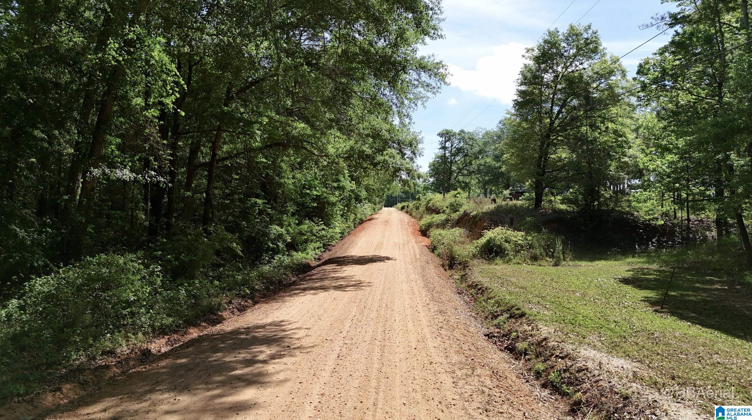 Blueberry Road, Unit X Seale, AL 36875 - Photo 2 of 5