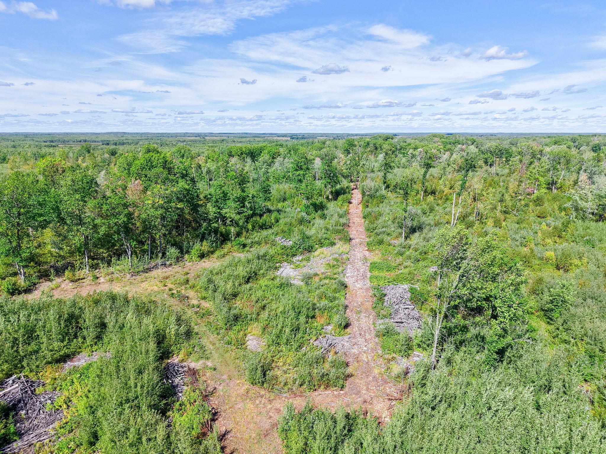 Xxx Fleming Logging Road Hinckley, MN 55037 - Photo 29 of 87 Gallery Image 29