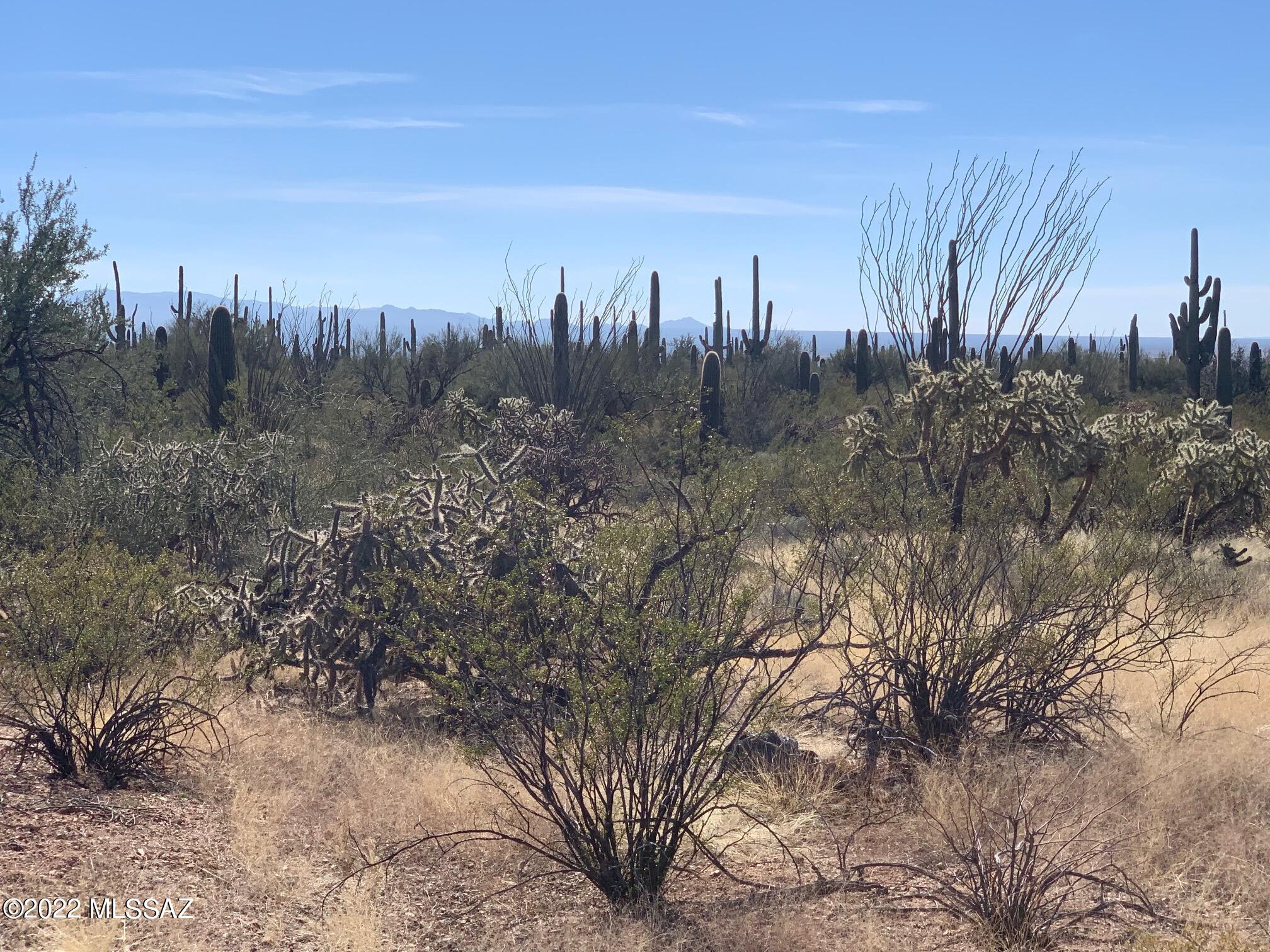 8.81-acres West Mile Wide Road, Unit A Tucson, AZ 85743 - Photo 14 of 16