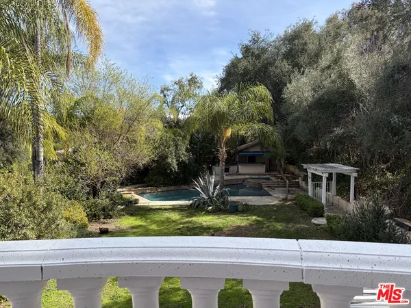a view of a yard with potted plants