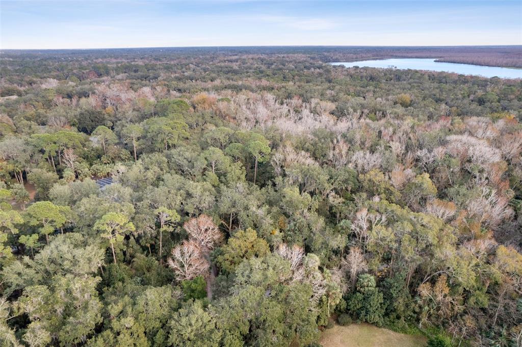 1820 Turtle Hill Road Deltona, FL 32725 - Photo 5 of 16 Gallery Image 5